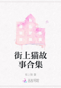 街上貓故事合集