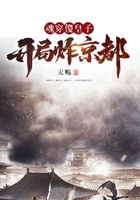 魂穿傻皇子，开局炸京都在线阅读