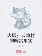 火影：云隐村的响雷果实在线阅读