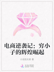 電商逆襲記:窮小子的輝煌崛起