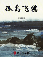 孤岛飞鸥在线阅读