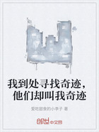 我到处寻找奇迹,他们却叫我奇迹在线阅读