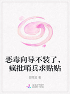 恶毒向导不装了,疯批哨兵求贴贴在线阅读