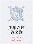 少年之峽谷之巔在線閱讀