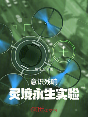 意识残响：灵境永生实验在线阅读