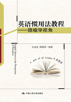 英语惯用法教程:隐喻学视角在线阅读