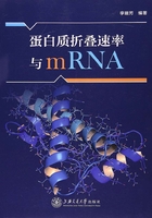 蛋白质折叠速率与mRNA