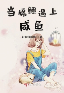 當錦鯉遇上咸魚