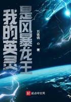 我的英靈是風(fēng)暴龍王在線閱讀