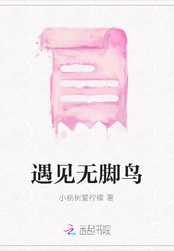 遇见无脚鸟在线阅读