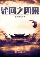 轮回之因果在线阅读