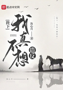 陛下，我真不想造反