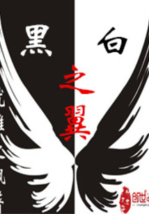 黑白之翼