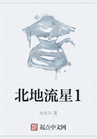 北地流星1在線閱讀