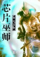 芯片巫师:探究万界在线阅读