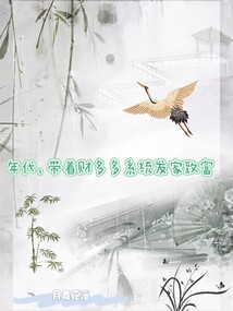 年代：帶著財多多系統發家致富