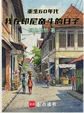 重生60年代我在印尼奋斗的日子在线阅读