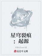 星穹裂痕：起源在线阅读