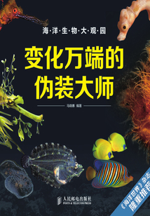 變化萬端的偽裝大師