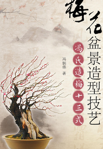 梅花盆景造型技艺:冯氏造梅十三式