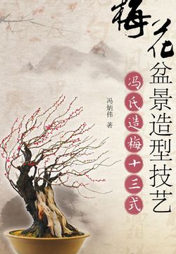 梅花盆景造型技艺：冯氏造梅十三式 封面