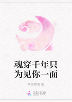 魂穿千年只為見你一面在線閱讀