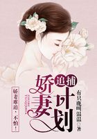 追捕嬌妻計(jì)劃在線閱讀