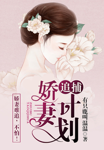 追捕嬌妻計劃
