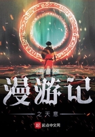 漫游記之天意在線閱讀