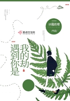 遇到你是我的劫在線閱讀