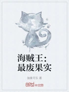 海贼王:最废果实在线阅读