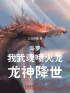 斗罗:我武魂喷火龙,龙神降世!在线阅读