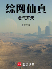 综网仙真，念气开天在线阅读