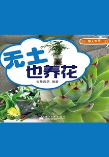 無土也養花