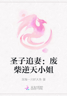 圣子追妻：廢柴逆天小姐