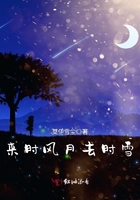 來時(shí)風(fēng)月去時(shí)雪在線閱讀