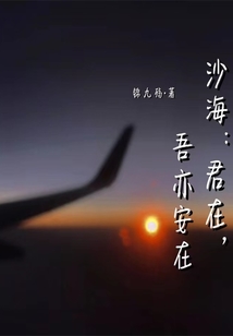 沙海：君在，吾亦安在
