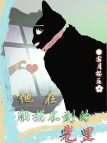 他在觸摸不到的光里