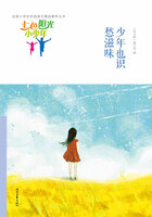 “七色阳光小少年”全国小学生校园美文精品集萃丛书:少年也识愁滋味在线阅读