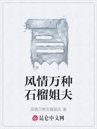 风情万种石榴姐夫在线阅读