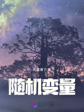 随机变量在线阅读