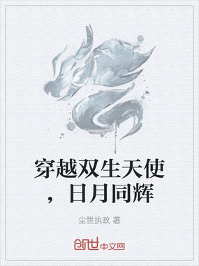 穿越双生天使,日月同辉在线阅读