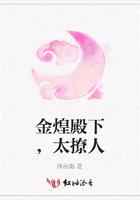 金煌殿下，太撩人在線閱讀