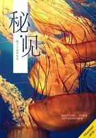 秘·见在线阅读
