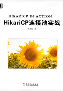 HikariCP連接池實戰