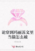 論穿到瑪麗蘇文里當貓怎么破在線閱讀