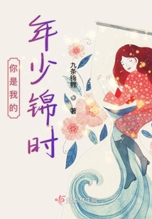 你是我的年少锦时