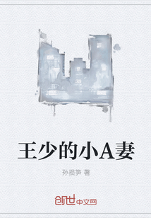 王少的小A妻