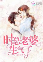 時總老婆生氣了在線閱讀
