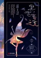 黑芭蕾之夏(全集)在线阅读